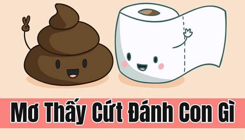 Nằm mơ thấy cứt là điềm báo gì? Đánh đề bao nhiêu khi mơ thấy cứt? 8 Nằm mơ thấy cứt là điềm báo gì