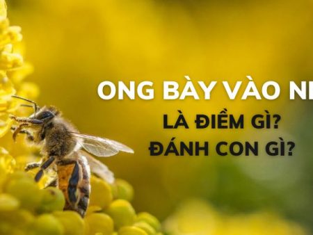 Ong bay vào nhà mang theo điềm báo gì? Luận giải để biết ý nghĩa